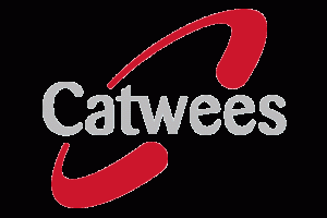 catwees transparent back11 300x200